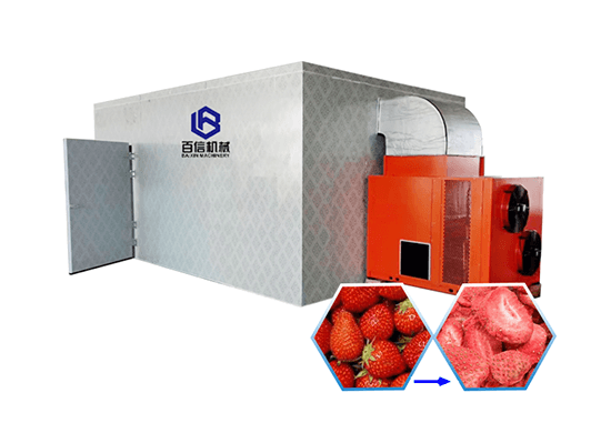 Strawberry dryer machine